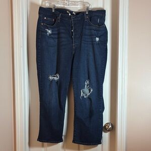Levi's Ribcage Straight Ankle Jean Dark Wash Distressed, Women’s Plus Size 20W